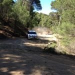 acropolis scoda test 2