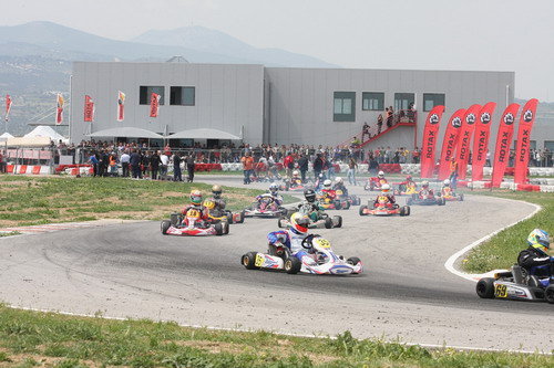 megara circuit kart
